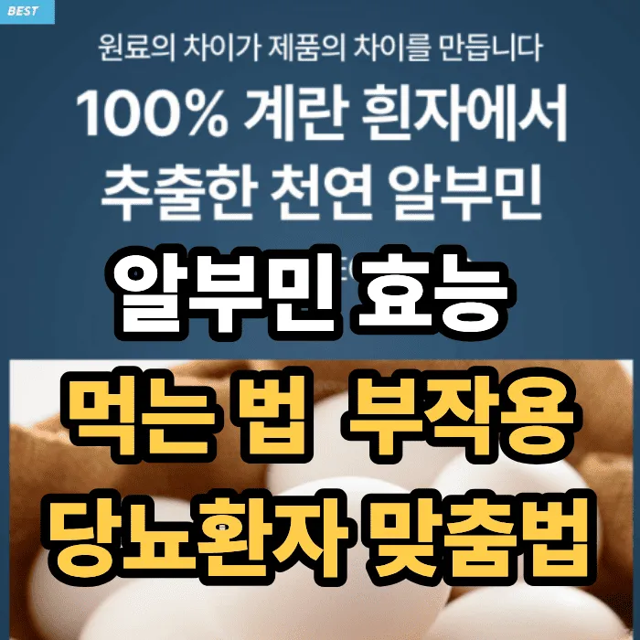 알부민 효능·먹는 법·부작용 총정리, 당뇨라면 오늘부터 이렇게