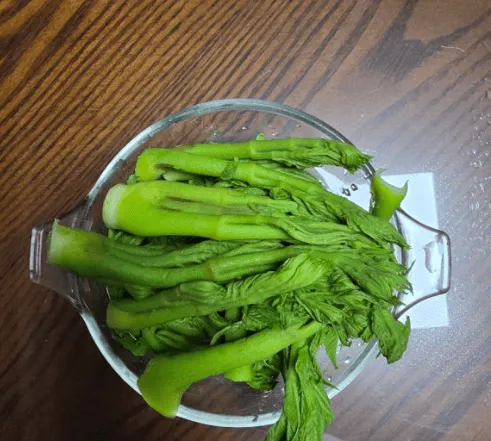 좋은 두릅 고르는 법 실패 없이 고르는 핵심 기준