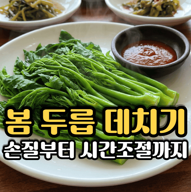 두릅 데치기 방법 손질부터 시간 조절까지 정리